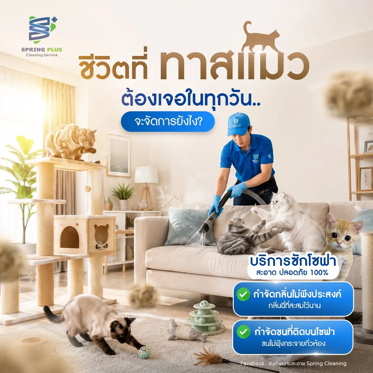 ซักโซฟา ที่นอน ผ้าม่าน รูปที่ 1