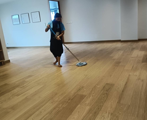 บ้านเดี่ยว